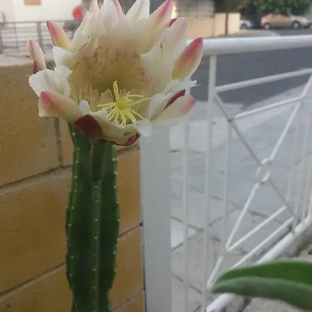 Διαμέρισμα Sweet *